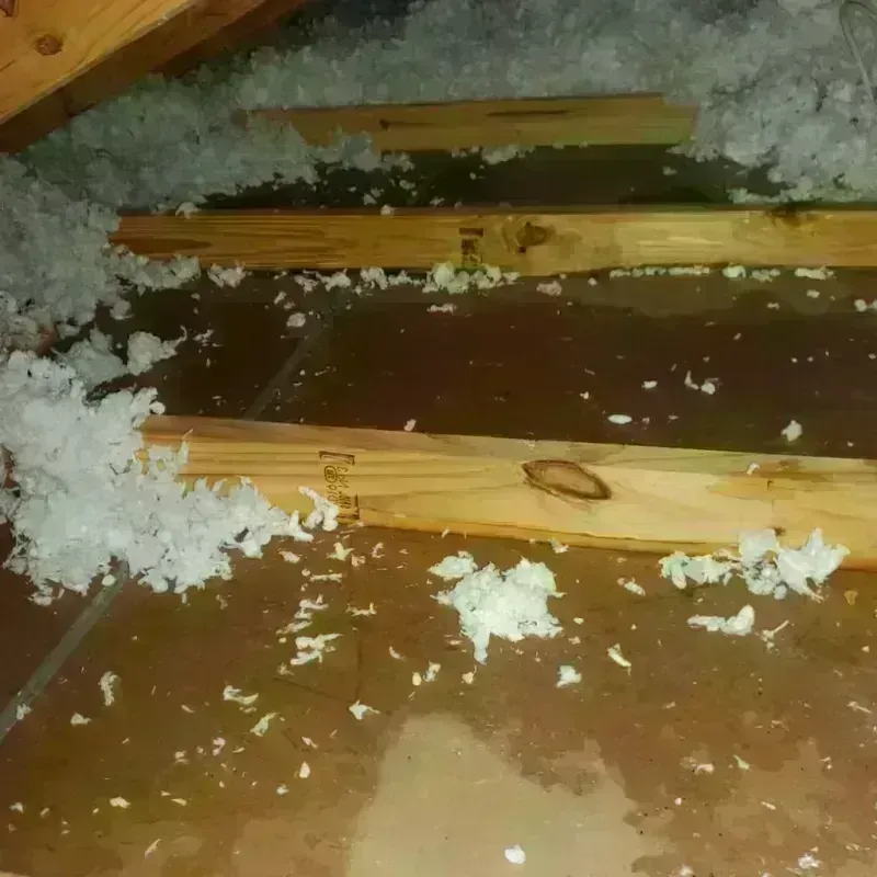 Attic Water Damage in Fletcher, NC