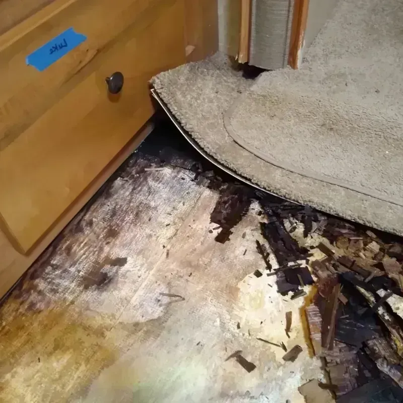 Wood Floor Water Damage in Fletcher, NC